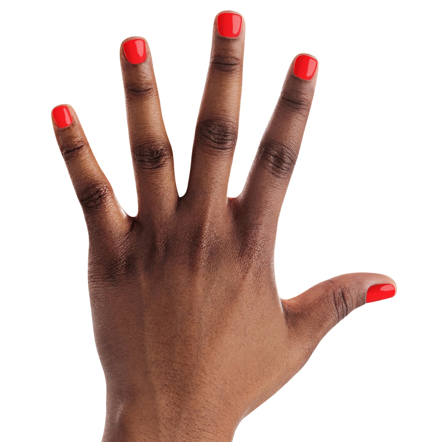 POP-arazzi - Red Coral