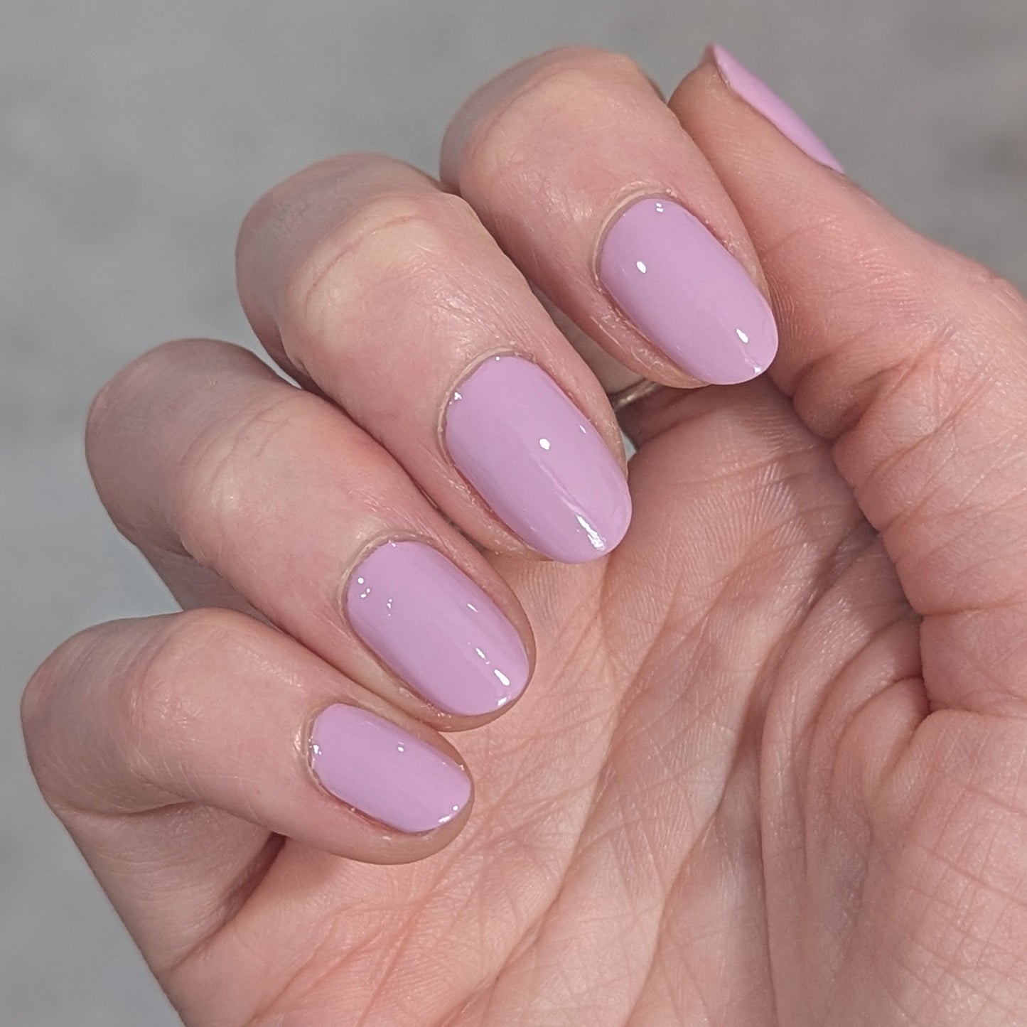 Soft Launch - Soft Lavender with Pink