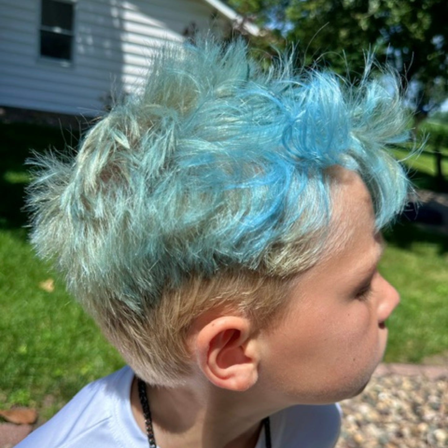 Blue Hair Color & Conditioner