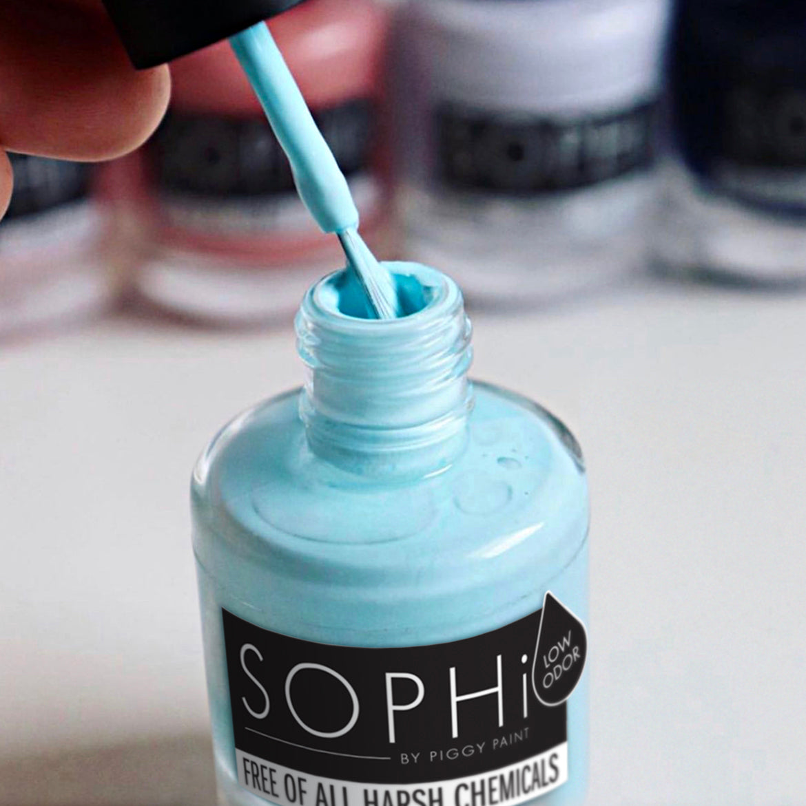 Piggy Paint and SOPHi I Review 