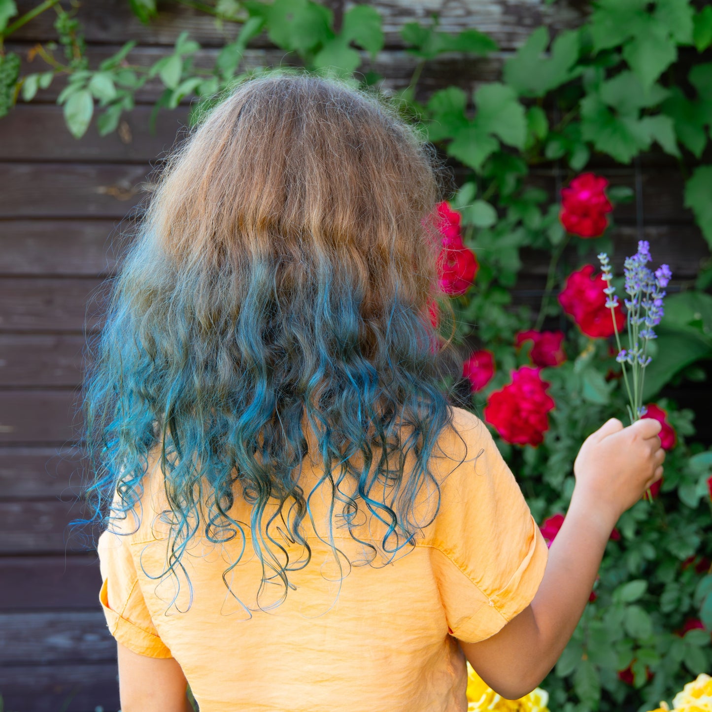 Blue Hair Color & Conditioner