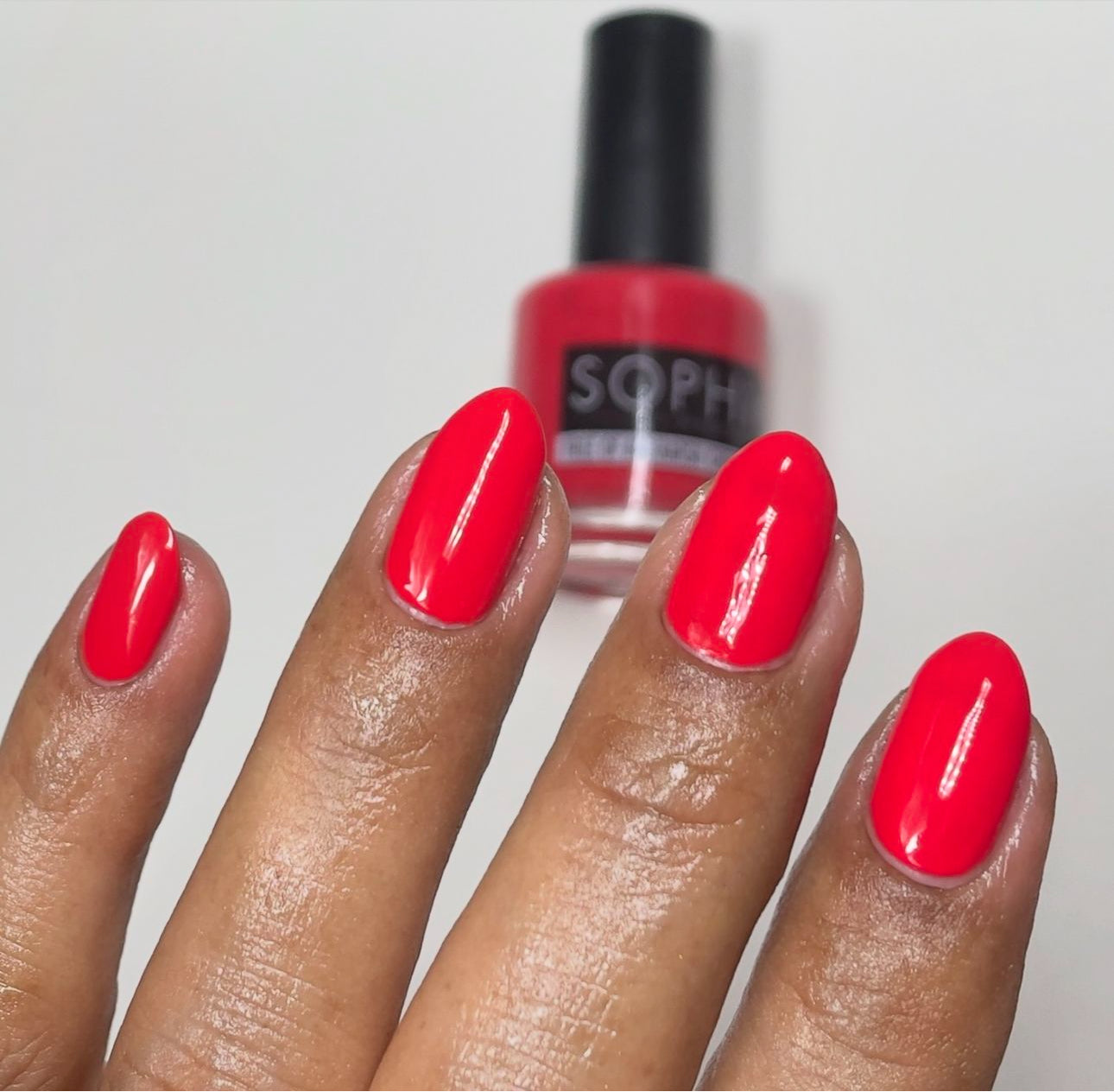 POP-arazzi - Red Coral